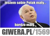 Polak mały