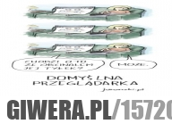 Domyślna przeglądarka
