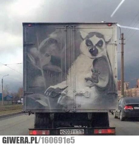 Sztuka,lemur,bród,ciężarówka