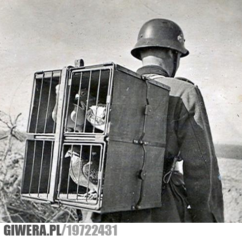 SMS-y podczas I Wojny Światowej