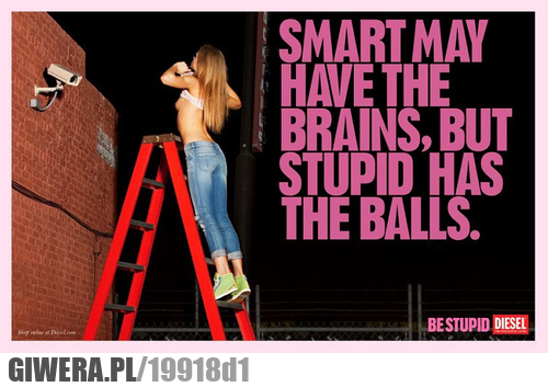 mądrzy, głupi, hasło