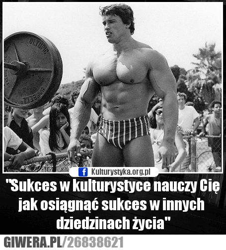 motywacja, trening, kulturystyka, sport, memy, cytaty