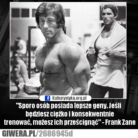 Motywacja Treningowa Memy I Cytaty Motywujące Do Treningu Giwerapl