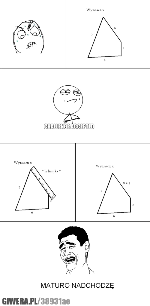 wyznacz, matematyka, matura