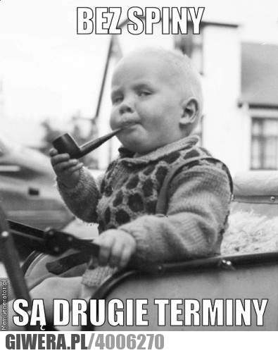 motto, na, sesję, bez, spiny, są, drugie, terminy