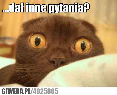 inne, pytania, pytania, student