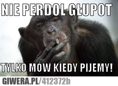 nie, perdol, nie, pierdol, pijemy