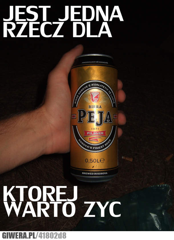 piwo, peja, nie, zmienia, się, nic, rzecz, warto, żyć