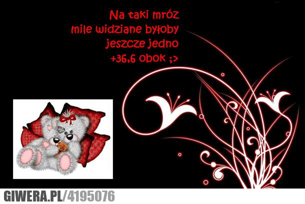 mróz, za, oknem, jedno, 36, 6, obok