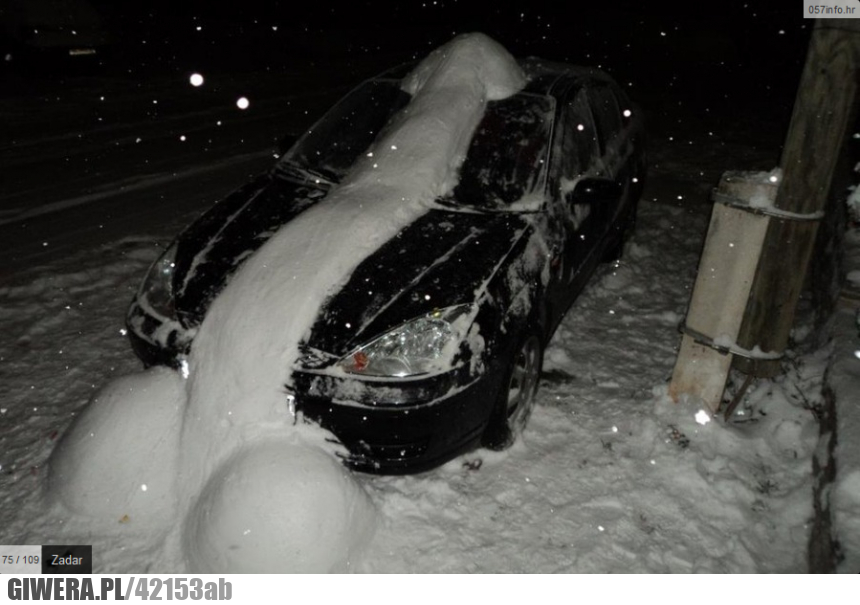 kutas, karny, snieg, sniegu