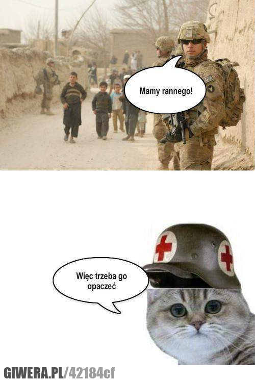 Quinn, opaczę, pacze