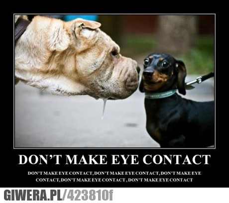 Nie, nawiązuj, kontaktu, wzrokowego