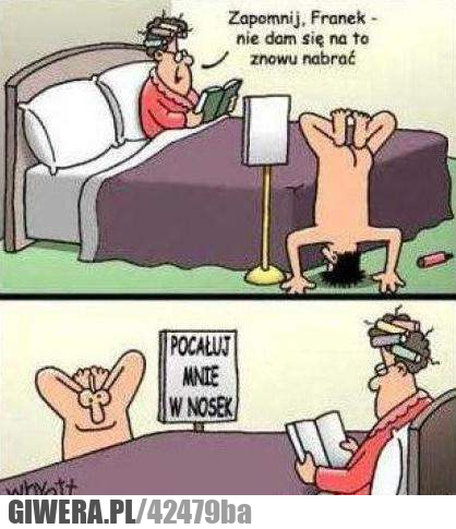 nosek, nabrać, pocałuj