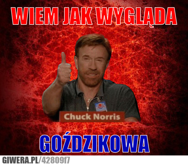 chuck, norris, goździkowa
