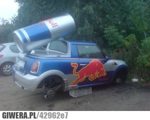 skrzydła, przydadzą, wyjątkowo