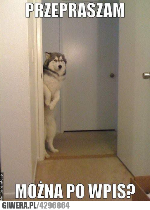 panie, profesorze, wpis