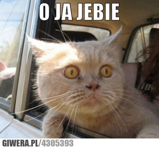 daleko, naprawdę, do, piątku, jebie