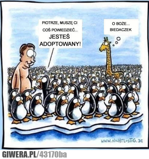 zła, wiadomość, adoptowany