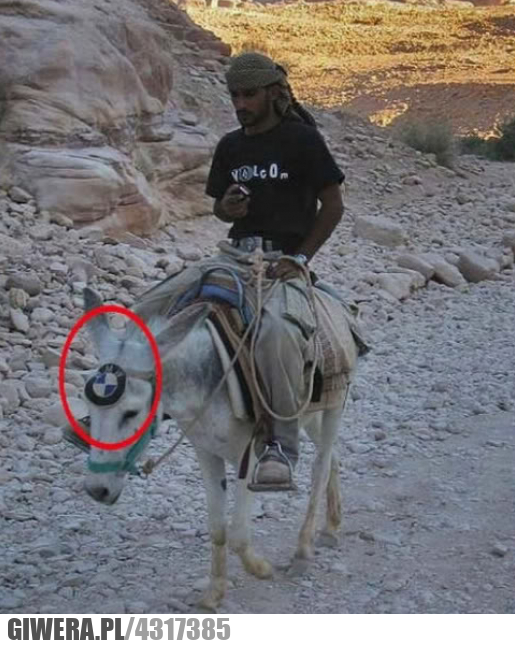 jak, się, nie, ma, bmw, wielbłąd