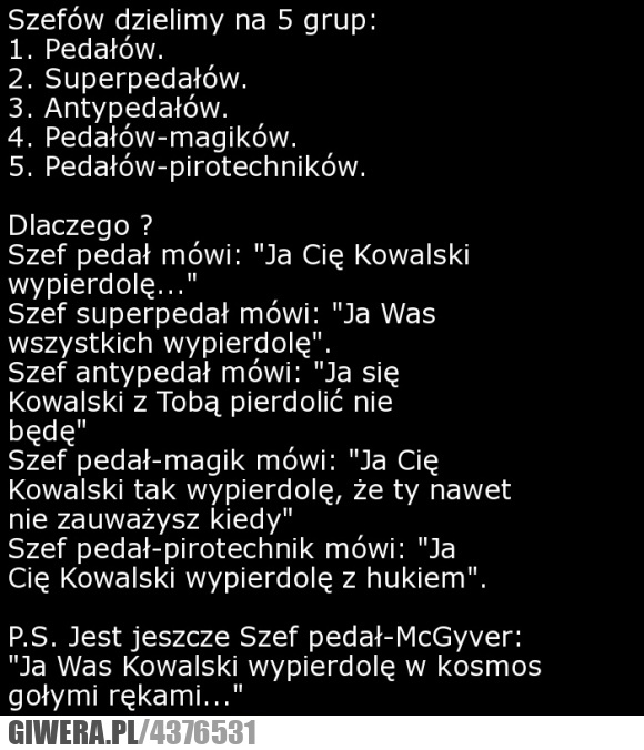 szefów, dzielimy, na, 5, grup