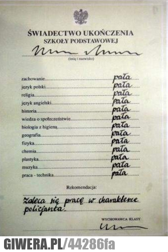 świadectwo, pała, policjant