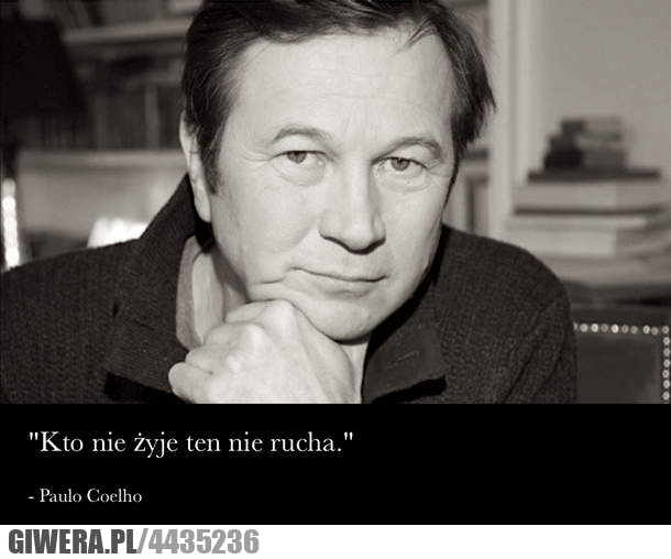 dewiza, życiowa, rysia, z, klanu, rucha