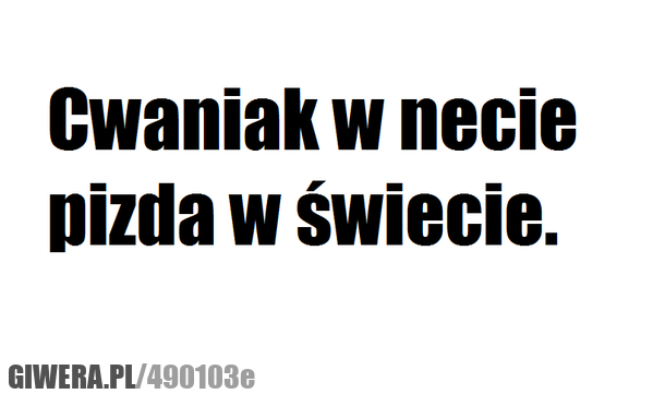 cwaniak, świecie, pizda, necie
