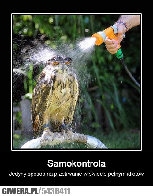 samokontrola