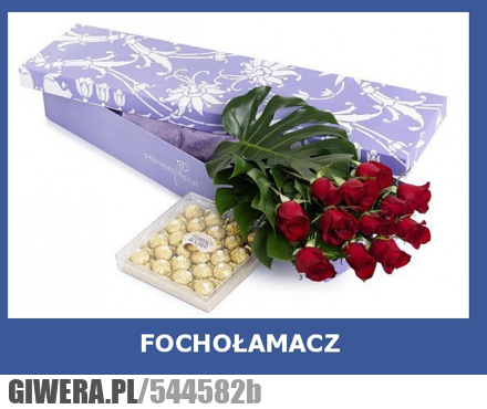 zestaw, małego, fochołamacza