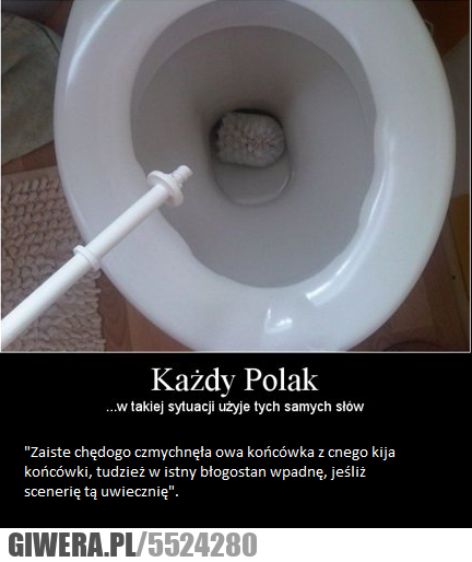 każdy, polak, użyje, słów, kurwa