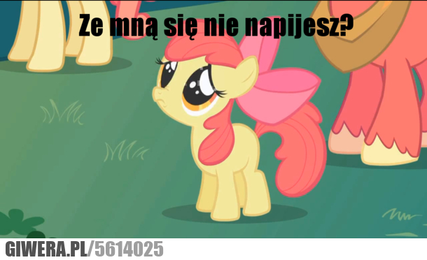 alkohol, kucyk, ze, napijesz