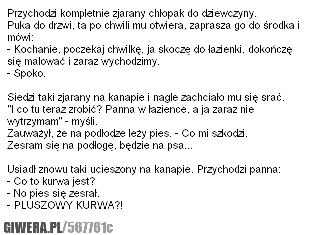 marihuana, gowno, pies, kawaly, dowcipy