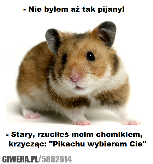 nie, byłem, pijany, chomika, pikachu