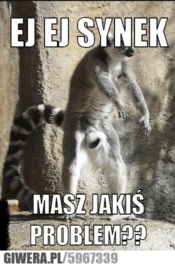 ej, synek, problem