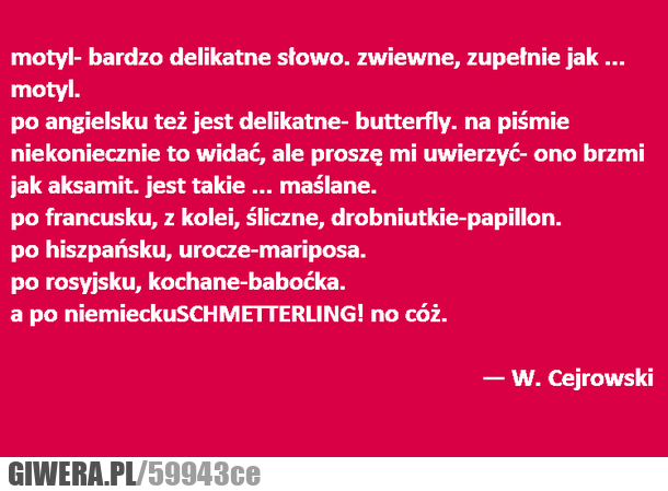 cejrowski, prawdę, powie, motyl