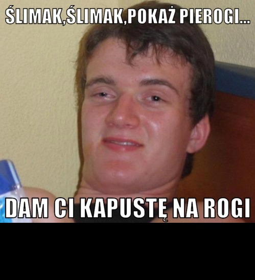 ślimak, zjarany, zbyszek, pierogi, kapusta, rogi, żart