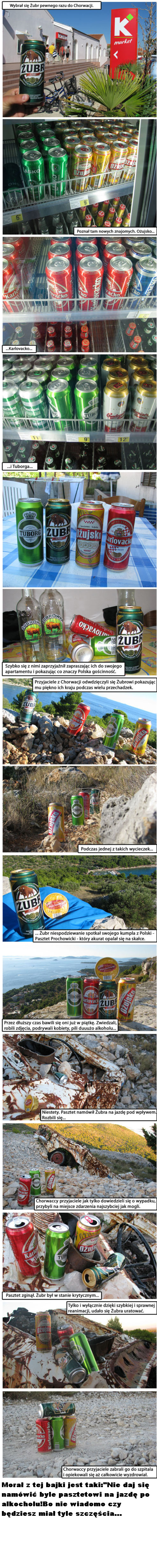 żubr, piwo, chorwacja, wypadek, alkohol, pasztet, jazda, po, alkoholu, morał, komiks, biografia