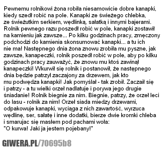 orzeł, kawały, dowcipy