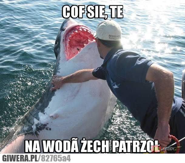 RÓŻNOŚCI