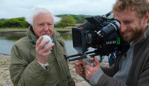 David Attenborough: Te wspaniałe jajka (2018)