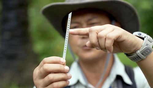 Borneo: puszcze pełne cud&oacute;w (2024)