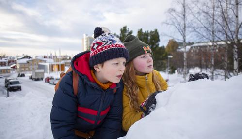 Biuro detektywistyczne Lassego i Mai 2