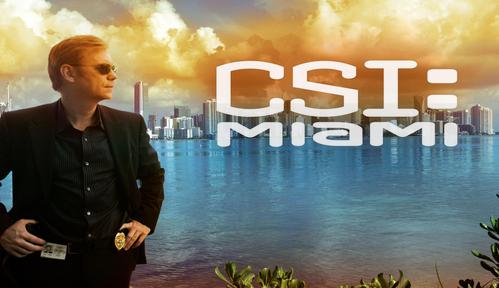 CSI: Kryminalne zagadki Miami 8