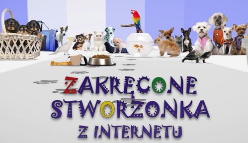 Zakręcone stworzonka z internetu 2