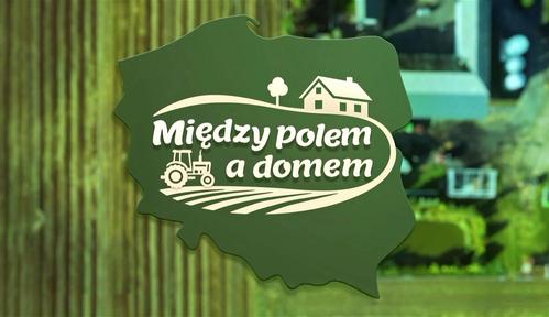 Między polem a domem