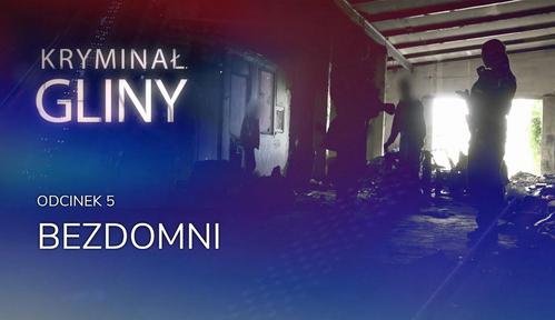 Kryminał: Gliny