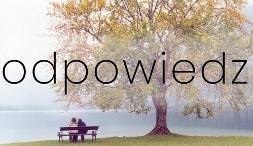 Odpowiedz (2004)