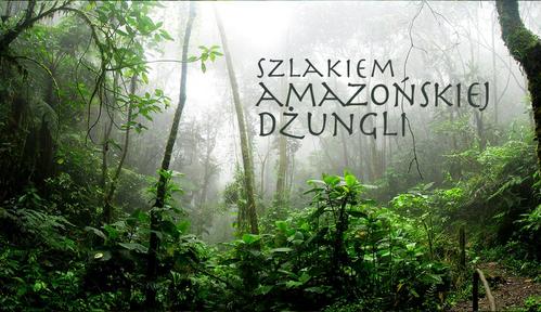 Szlakiem amazońskiej dżungli