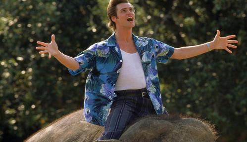 Ace Ventura: Zew natury