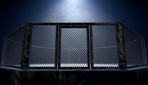 Sporty walki: FIT Centrum Fight MMA, część 1